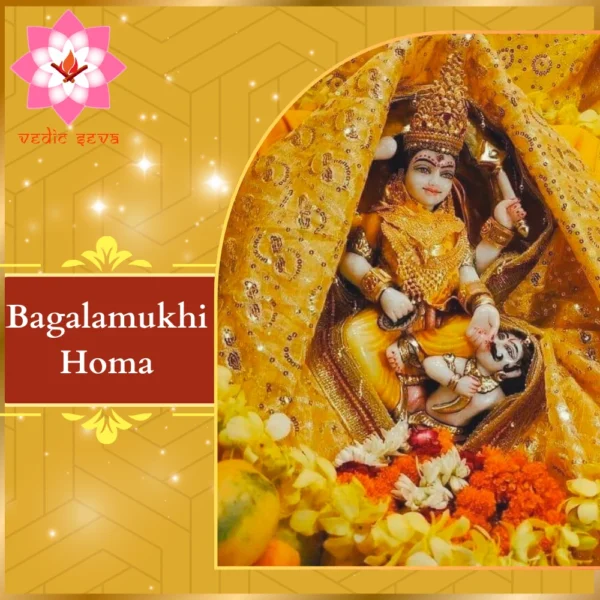 Image of Goddess Bagalamukhi in her authentic scriptural form, symbolizing power and control, associated with Bagalamukhi Homa for victory and protection against negativity