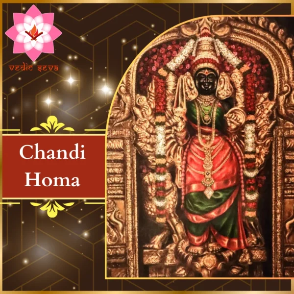 Image of Goddess Chandi in her fierce and protective form, symbolizing divine power and grace, central to Chandi Homa for overcoming negativity and gaining strength