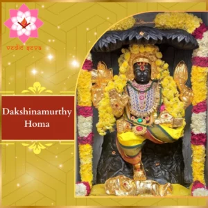 Image of Lord Dakshinamurthy, symbolizing divine wisdom and guidance, central to Dakshinamurthy Homa for spiritual knowledge