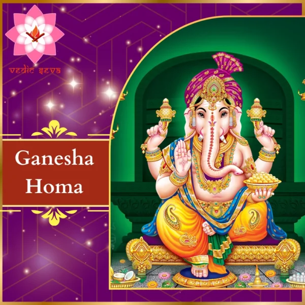 Image of Lord Ganesha, symbolizing wisdom and obstacle removal, associated with Ganesha Homa rituals at Vedic Seva.