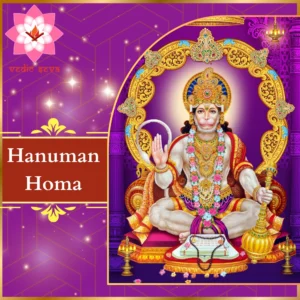 Image of Lord Hanuman, symbolizing strength and devotion, associated with Hanuman Homa for protection and overcoming difficulties