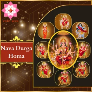 Image of nine forms of Goddess Durga, symbolizing strength and divine energy, central to Nava Durga Homa for protection and empowerment