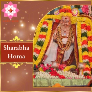 Image of Lord Sharabha, symbolizing ultimate protection, central to Sharabha Homa performed for eliminating powerful negative forces