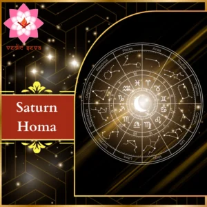 Zodiac sign in deep black symbolizing Saturn’s discipline, associated with Saturn Homa for karma resolution, patience, and stability