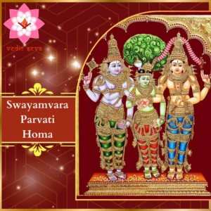 Image of Goddess Parvati, symbolizing harmony and marital bliss, central to Swayamvara Parvati Homa performed for attracting suitable life partners