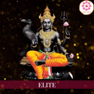 Saturn Remedy Program Elite Package