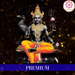 Saturn Remedy Program Premium Package