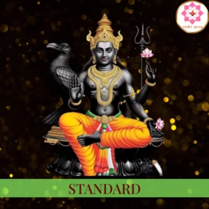 Saturn Remedy Program Standard Package