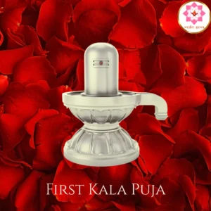 maha Shivaratri first prahar Kalam puja abhishekam at vedicseva