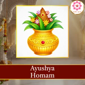 Ayushya Homam sacred fire ritual performed at Vedic Seva