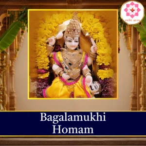 Bagalamukhi Homam sacred fire ritual performed at Vedic Seva