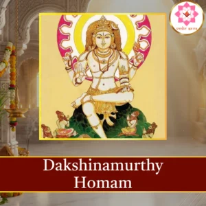 Dakshinamurthy Homam sacred fire ritual performed at Vedic Seva