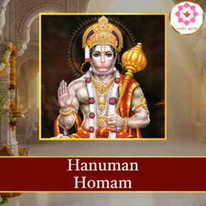 Hanuman Homam sacred fire ritual performed at Vedic Seva