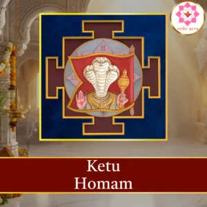 Ketu Homam sacred fire ritual performed at Vedic Seva