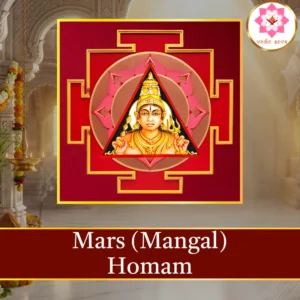 Mangal Homam sacred fire ritual performed at Vedic Seva