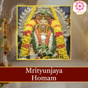 Maha Mrityunjaya Homam sacred fire ritual performed at Vedic Seva