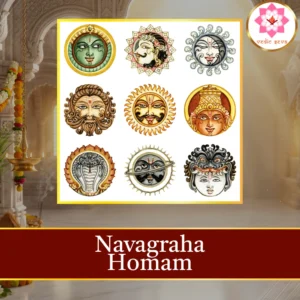 Navagraha Homam sacred fire ritual performed at Vedic Seva
