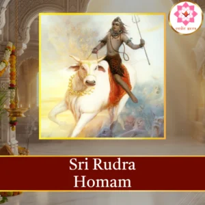 Sri Rudra Homam sacred fire ritual performed at Vedic Seva